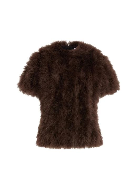16Arlington Brown Fara Top