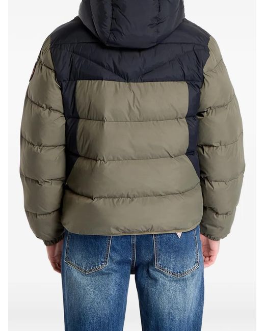Napapijri Gray Padded Colour-Block Jacket for men