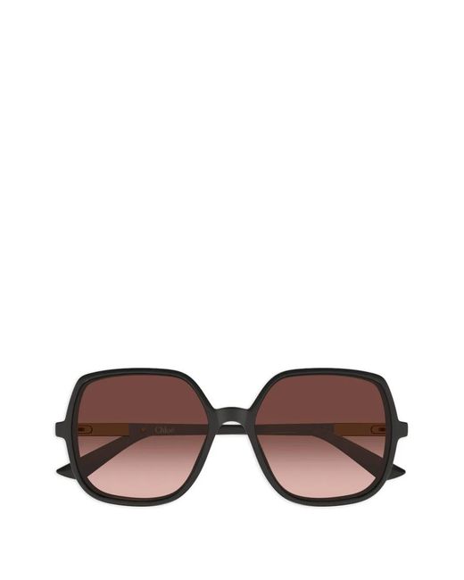 Chloé Brown Judy Oversized-Frame Sunglasses