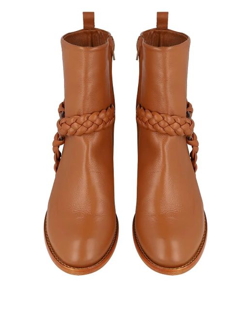 Blue Bird Shoes アンクルブーツ Brown