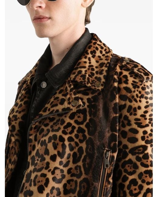Dolce & Gabbana Brown Leopard-Print Zipped Jacket for men