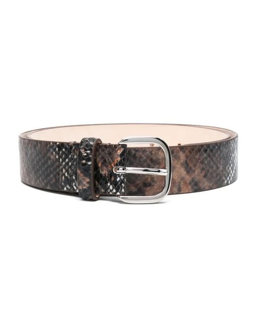 DEHANCHE Brown Jeanne Belt