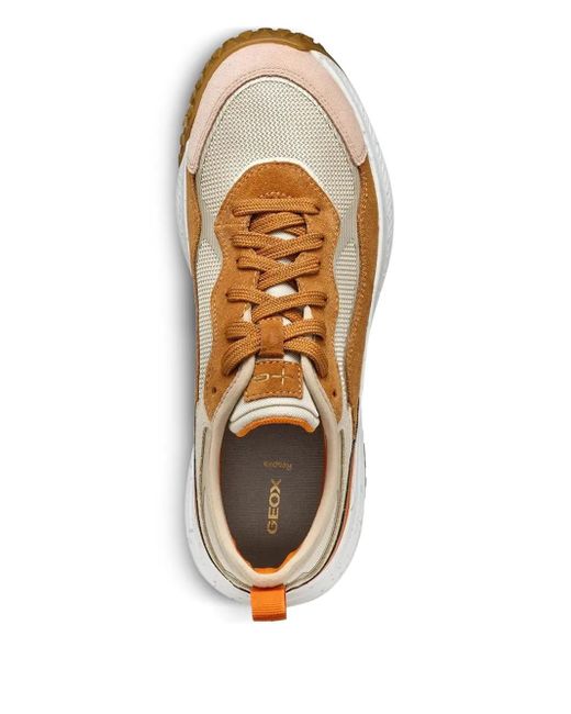 Geox Brown Oliveira Sneakers