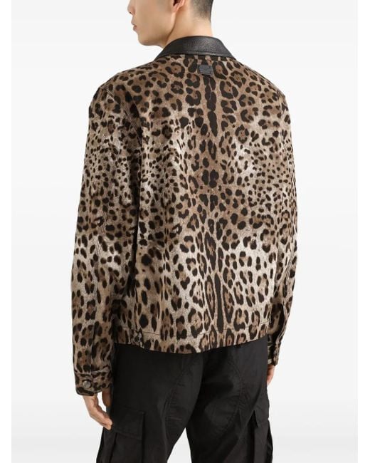 Dolce & Gabbana Black Leopard-Print Jacket for men