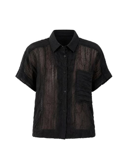 Pharaoh Black Zoey Sheer Crinkled Shirt