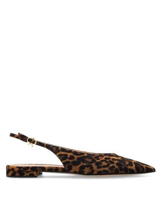 Gianvito Rossi Brown Leopard-Print Pointed Sandals