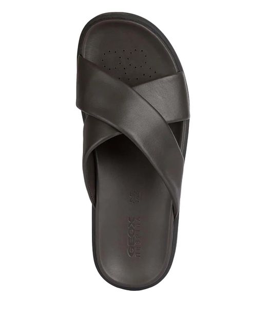 Geox Brown Leather Slides for men