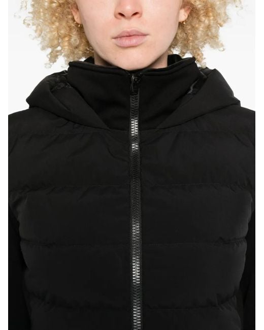 Piumino Trapuntato Con Cappuccio di Herno in Black