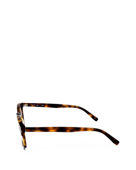 Lacoste Brown Tortoiseshell-Effect Square-Frame Glasses for men