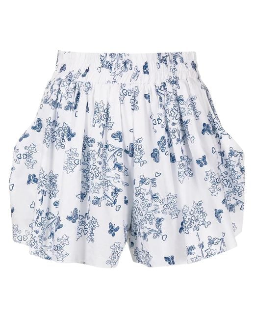 Macgraw Blue Story Shorts