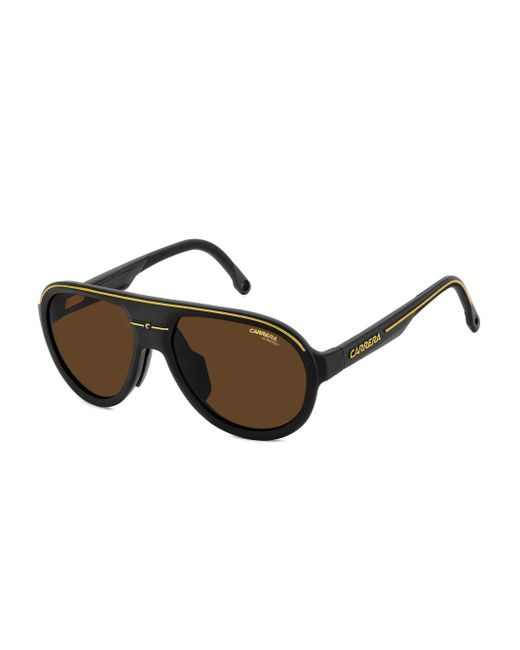 Carrera Brown Browline Sunglasses for men