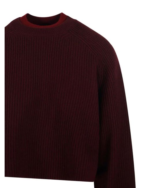 Pull Crop À Design Côtelé Max Mara en coloris Red