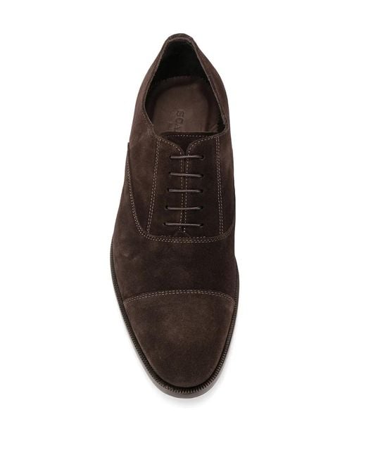 Scarosso Brown Bacco Lace-Up Oxford Shoes for men