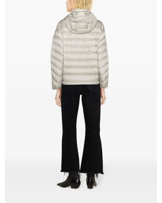 Moncler Delfo Donsjack in het Gray