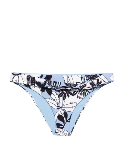 Slip bikini con stampa Palm di Twin Set in Blue