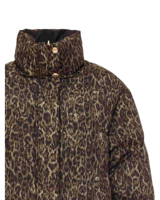 Just Cavalli Brown Leopard-Print Quilted Jacket
