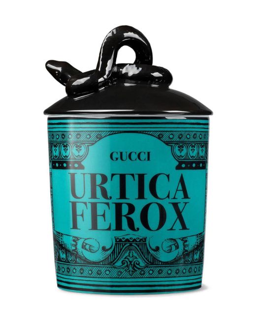 Bougie parfumée XL Urtica Ferox, senteur Freesia Gucci en coloris Bleu |  Lyst