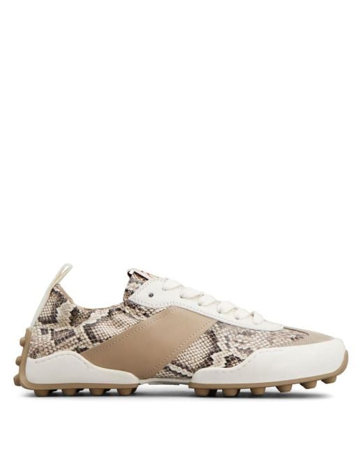 Tod's White Snake-print Leather Sneakers