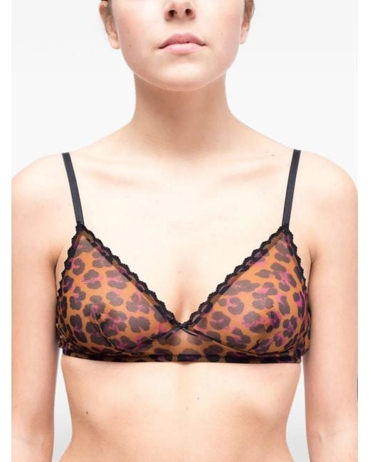 Laura Urbinati Brown Leopard-Print Triangle Bra