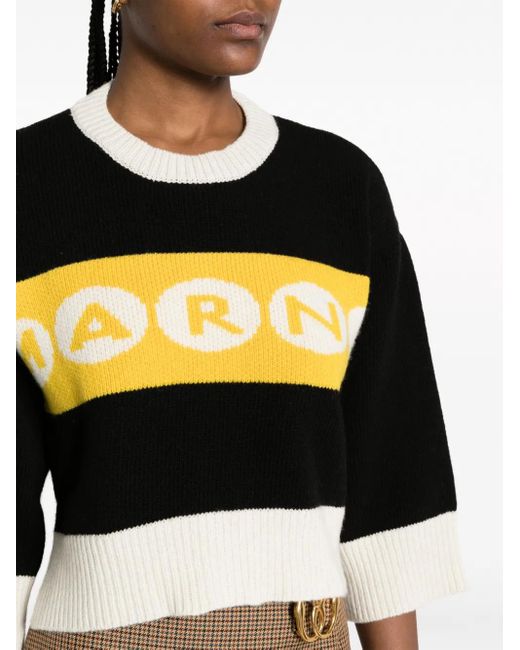 Maglione Crop Con Logo di Marni in Black