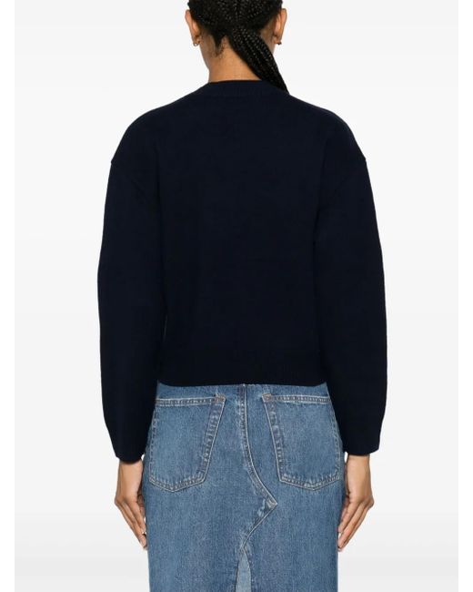 A.P.C. Esther Trui in het Blue