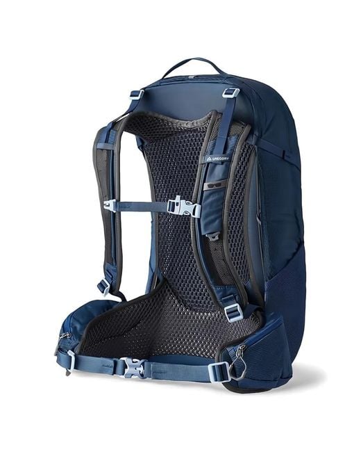 Gregory Blue Patterned Backpack