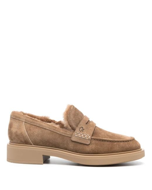 Gianvito Rossi Brown Harris Suede Loafers