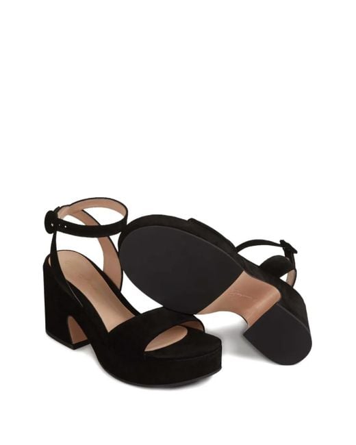 Gianvito Rossi ブロックヒール アンクルストラップ サンダル 55mm Black