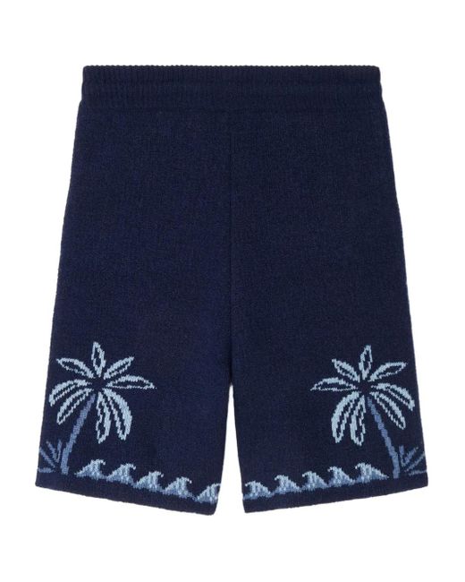 Alanui Blue Glimpse Of Eden Palm-Tree Shorts for men