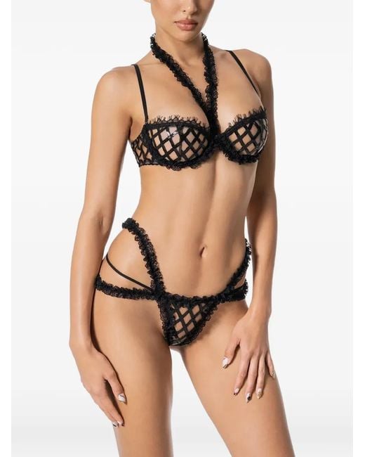 GOD SAVES QUEENS Black Ruffled-Trim Lattice-Detail Briefs
