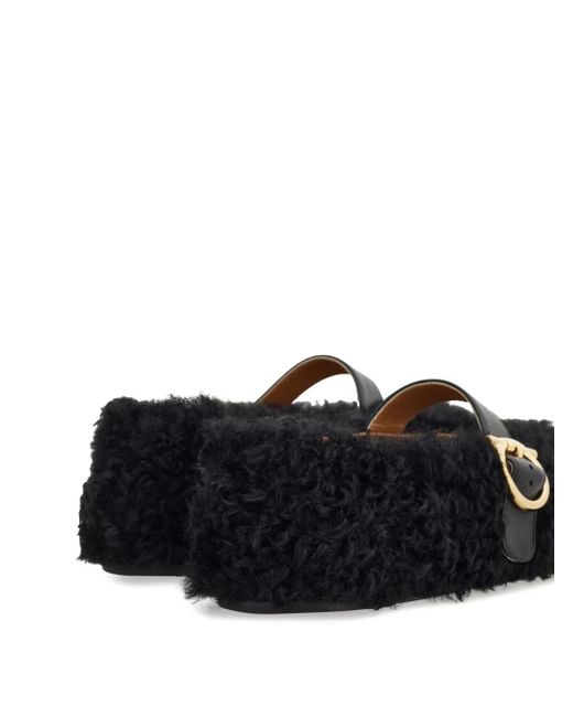 Stringate Con Fibbia di Ferragamo in Black