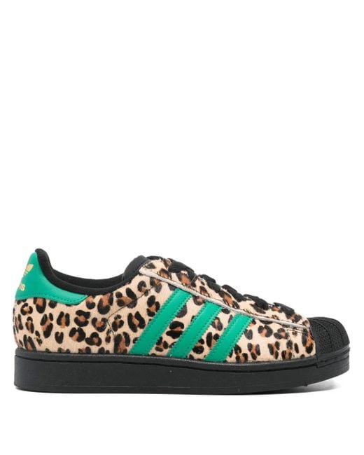 Adidas Green Superstar Leopard-Print Sneakers