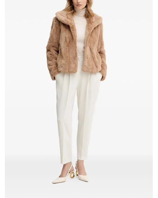 Guess Brown Hooded Jacket