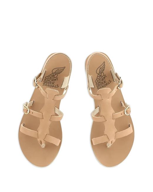 Ancient Greek Sandals Pink Grace Kelly Sandals