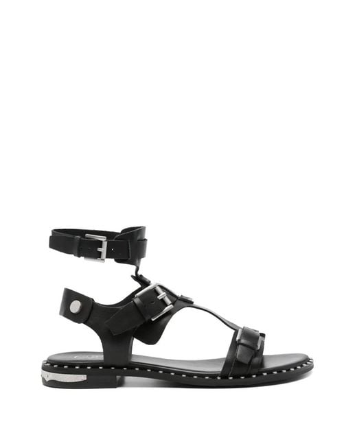 Ash Black Buckle-Fastening Studded Sandals