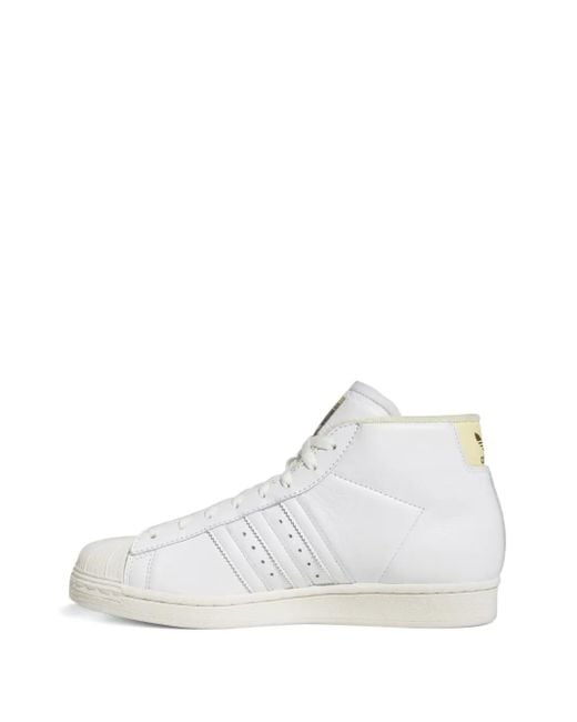 Baskets Pro Model Adv 'Sam Narvaez' Adidas en coloris White