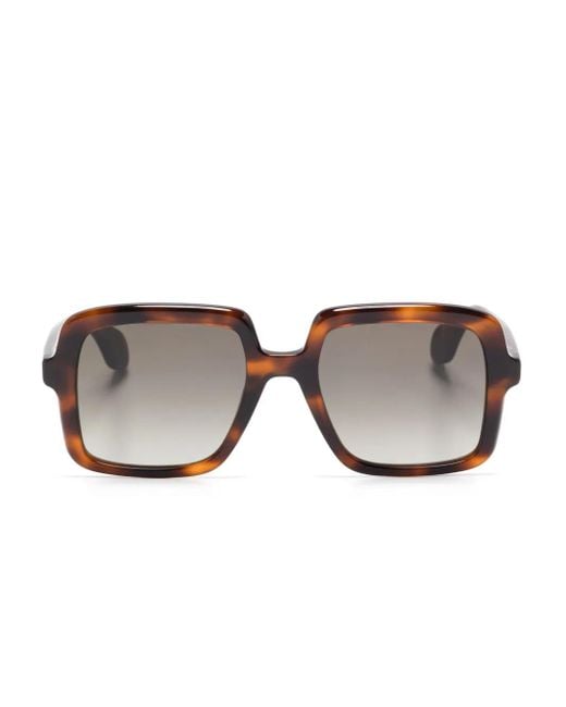 Gigi Studios Brown Thrive 018 Sunglasses