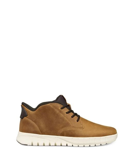 Geox Brown Sneakers for men