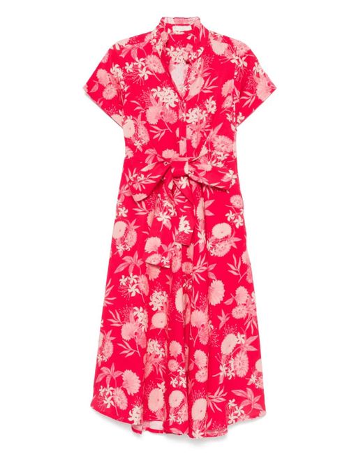 VERANDAH フローラル ドレス Pink