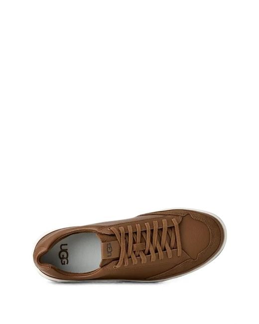 Ugg Brown Grained Leather Sneakers for men