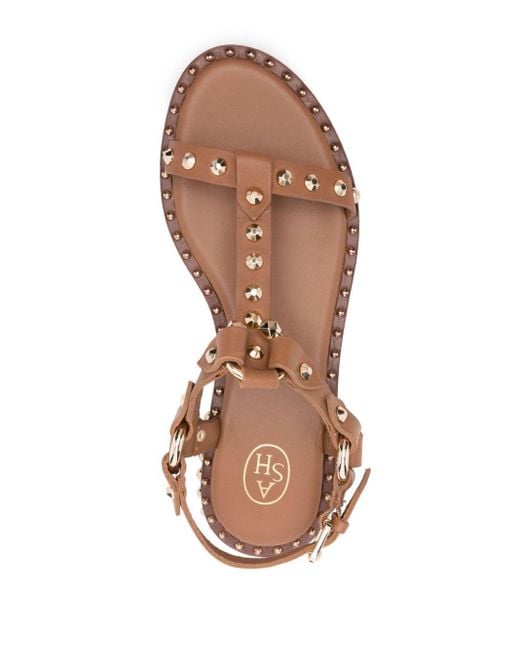 Ash Brown Patsy Leather Sandals