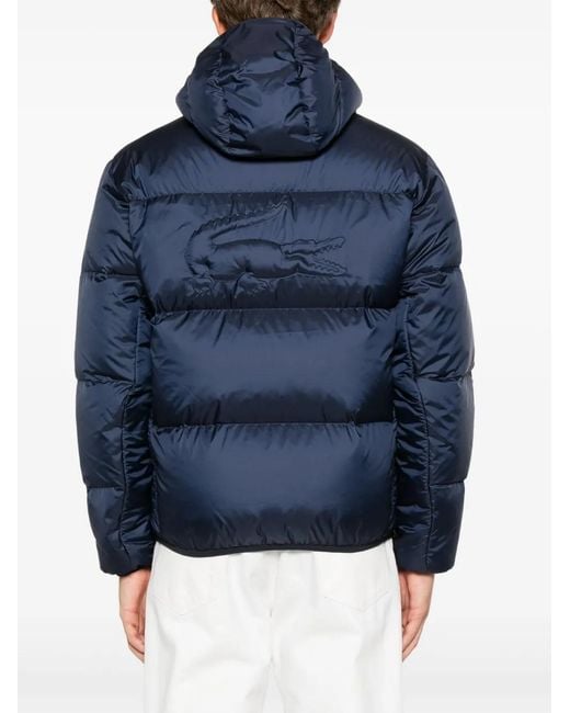 Lacoste Blue Hooded Padded Jacket for men