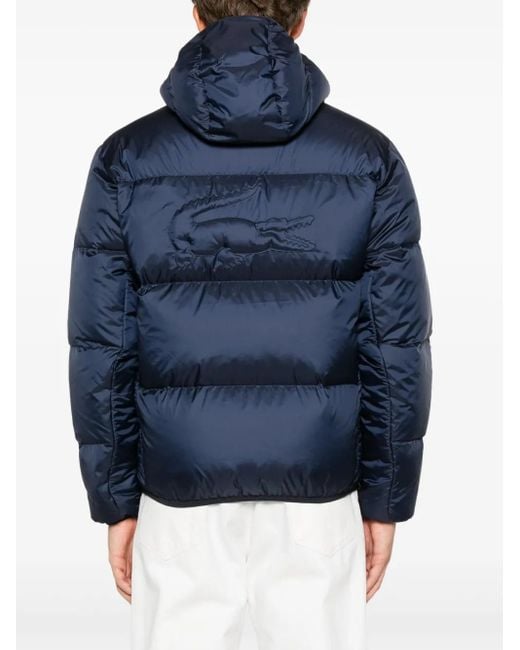 Lacoste Blue Hooded Padded Jacket for men