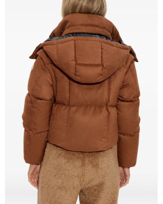 Moncler フーデッド パデッドジャケット Brown