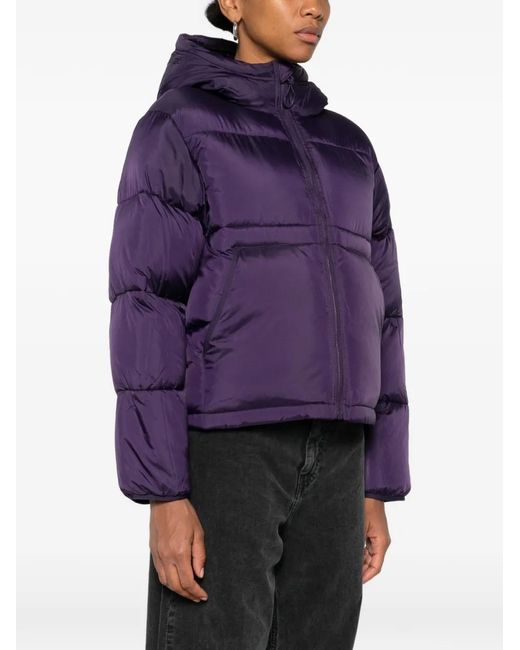 Carhartt Purple Toronto Hooded Puffer Jacket