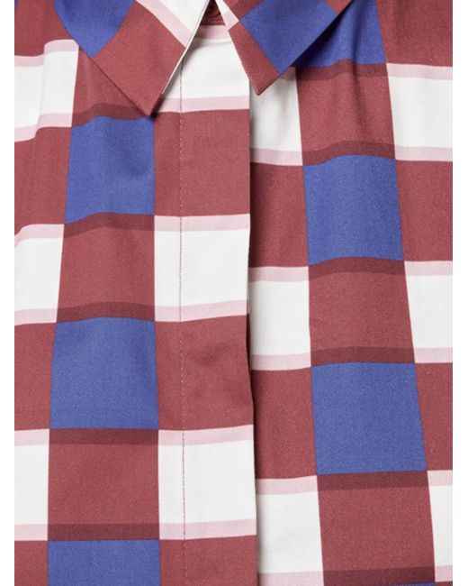 Alpha Studio White Checked Collar Top