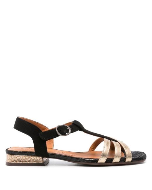 Chie Mihara Brown Tiana Suede Flat Sandals