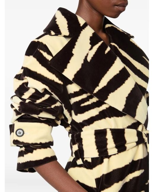 Nina Ricci Jas Met Zebraprint in het Black