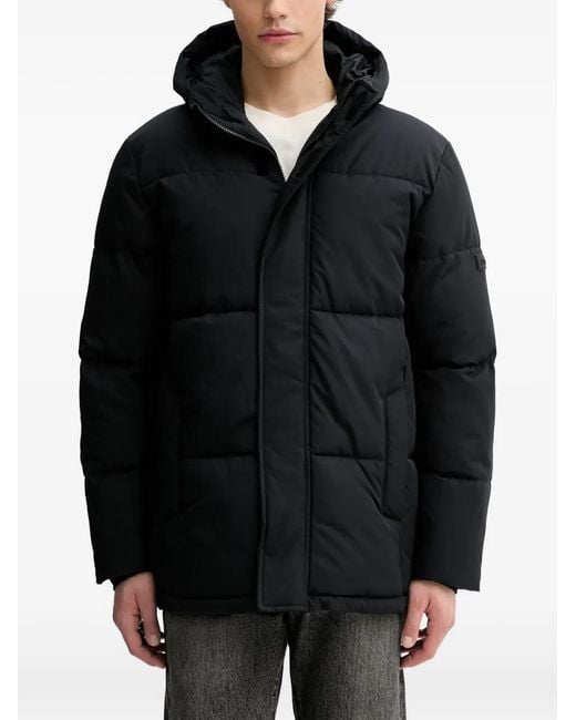 Hollister Black Hooded Puffer Coat for men