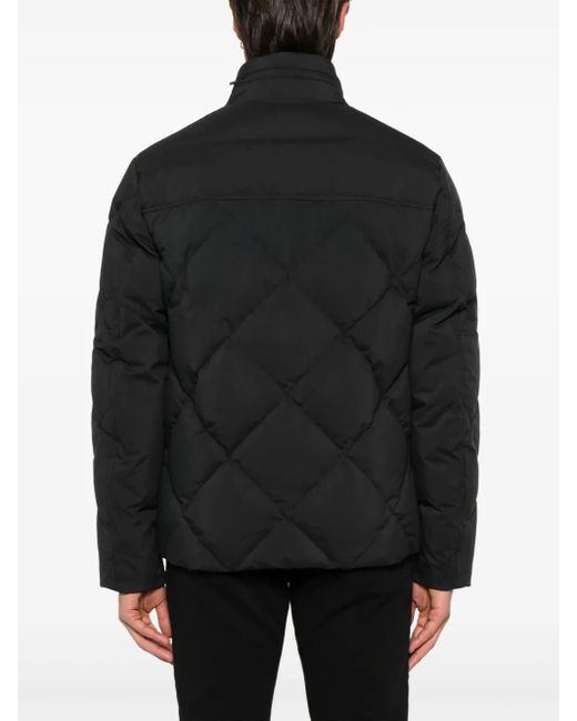 Canali Gewatteerd Jack in het Black voor heren